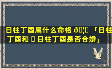 日柱丁酉属什么命格 🦟 「日柱丁酉和 ☘ 日柱丁酉是否合婚」